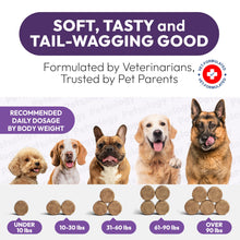 Load image into Gallery viewer, Dog Multivitamin Chewable - Dog Vitamins and Supplements with Glucosamine - 170 Chews - Hip &amp; Joint, Pet Immune Support, Skin &amp; Coat, Gut &amp; Heart Health - Senior &amp; Puppy Multivitamin Pet Supplement
