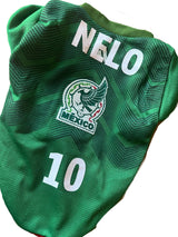 Soccer t-shirts for dogs/Mexican Soccer dog shirts/Soccer dog Jersey/Seleccion Mexicana soccer dog shirt (XL, Personalized)