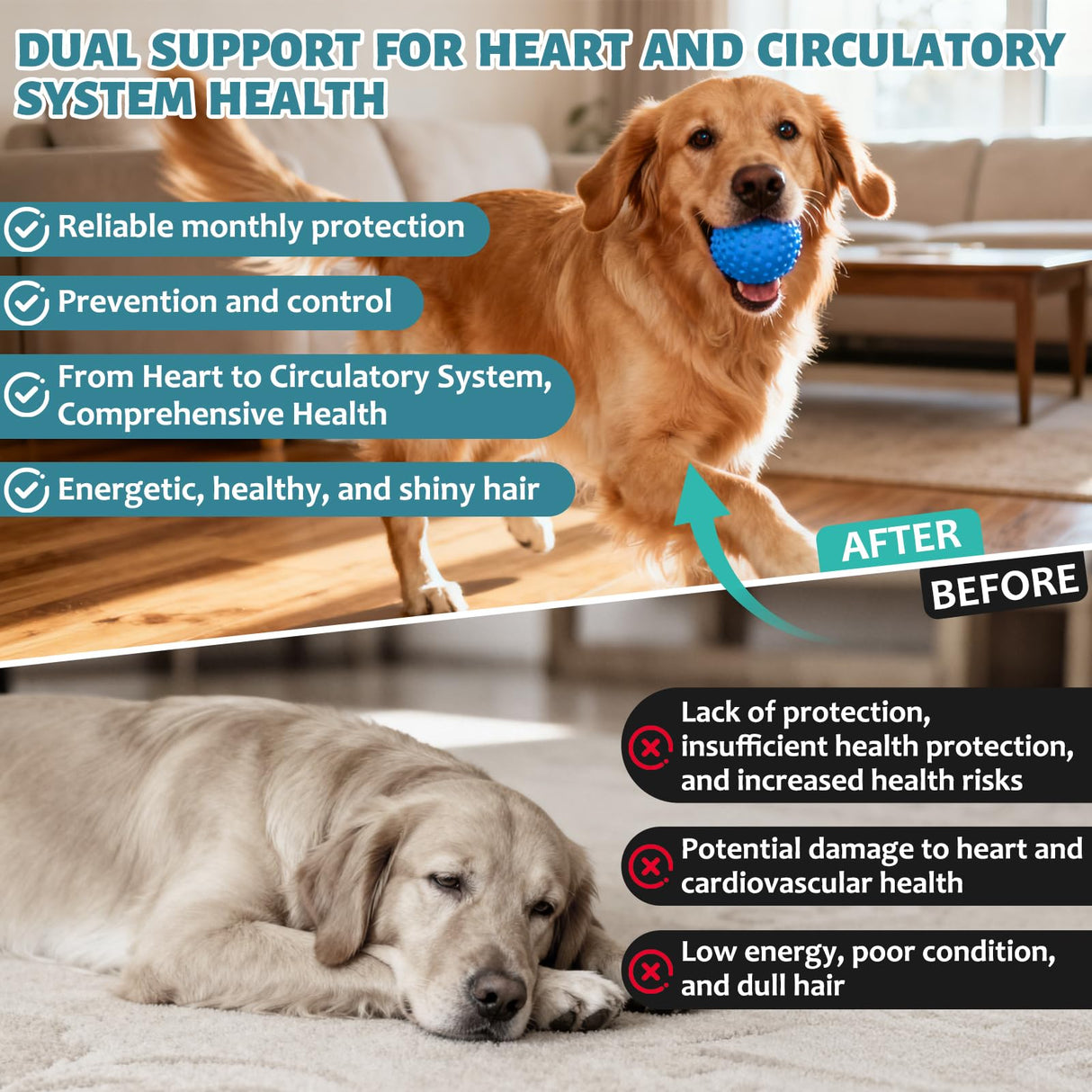Yakucho Young Heart for Dogs, lvermect Tablets for Dog – Hawthorn Prevention for Dogs, Heart Health, Circulatory & Cardiovascular System – 7.5 mg