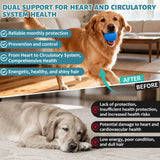 Yakucho Young Heart for Dogs, lvermect Tablets for Dog – Hawthorn Prevention for Dogs, Heart Health, Circulatory & Cardiovascular System – 7.5 mg