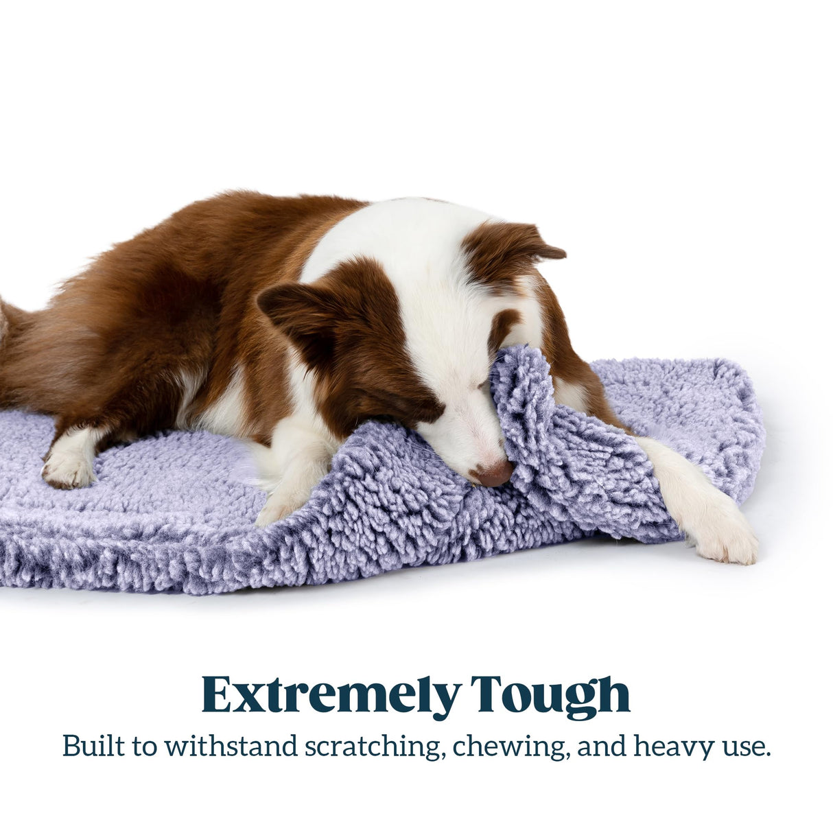 PELZIN Stoutwool Indestructible Dog Bed - Fluffy Chew Proof Dog Crate Pad - Tough Kennel Pad for Aggressive Chewers - Washable, Ideal for Large Breeds & Fits 42-Inch Crate - 41"x27", Jacaranda