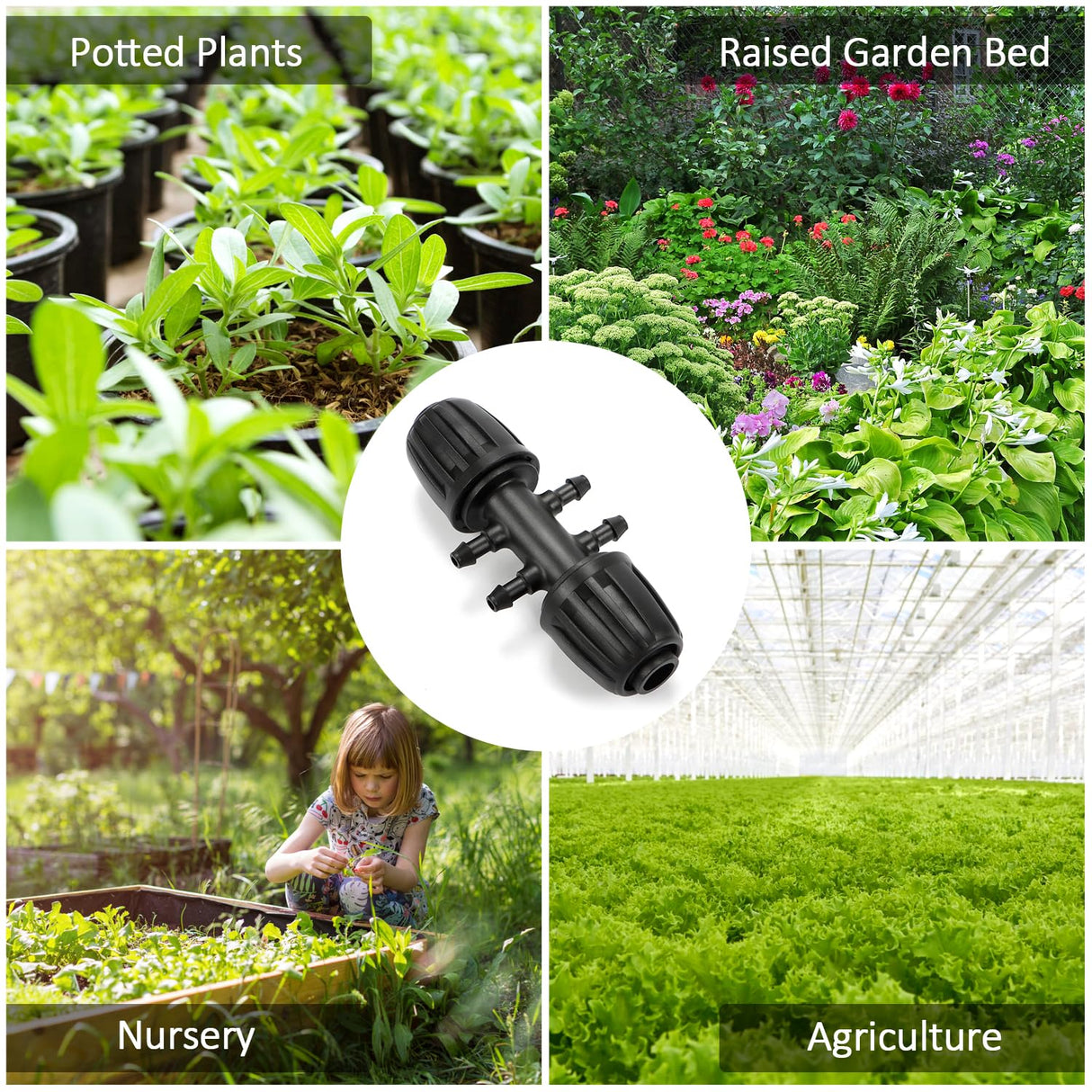 Copadri 12 Pcs 1/2 inch to 1/4 inch Drip Irrigation Tubing Fittings, 1/2" Drip Tubing (1/2" ID x 0.65" OD) to 4 Way 1/4" Irrigation Tubing Locked Barbed Reducing Tee Connectors for Garden Systems