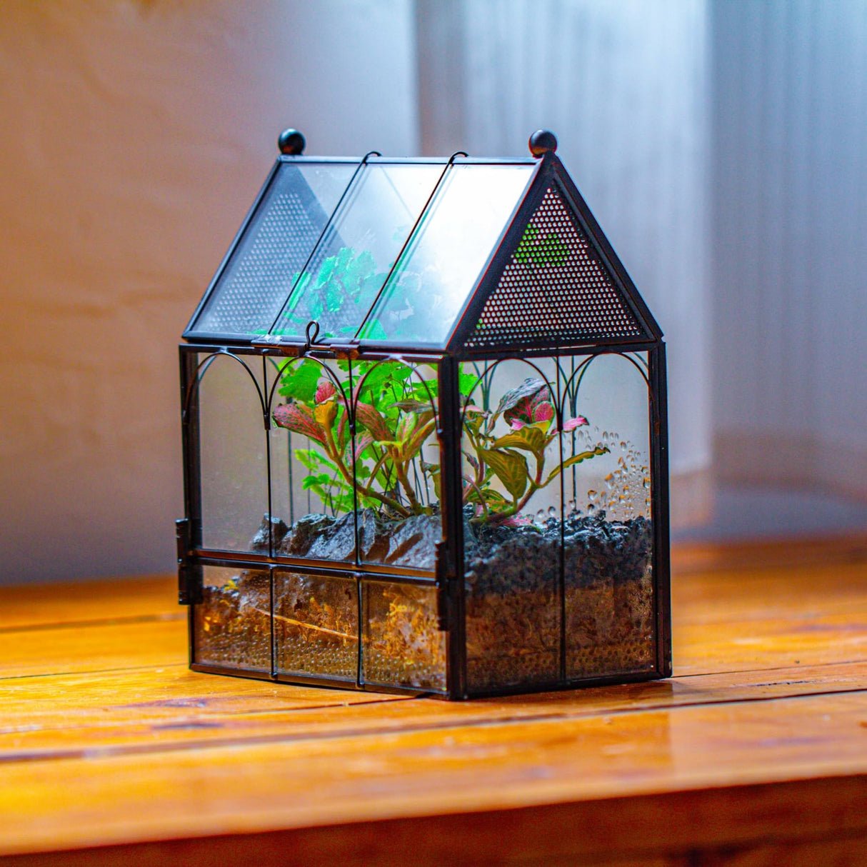 NCYP Small Glass Terrarium Enclosure with Mesh for Jumping Spiders, Micro House Shaped Succulent Plants Terrarium, Home Decor Black, 5.8" x 3.8" x 7" (No Plants)