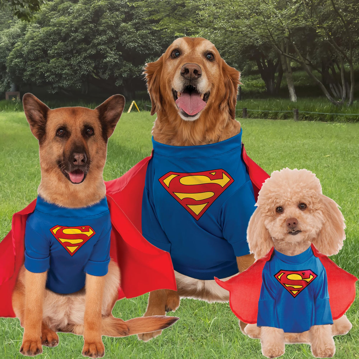 DC Comics Superheroes: Superman Pet Costume for For Dogs or Cats by Rubies, XL