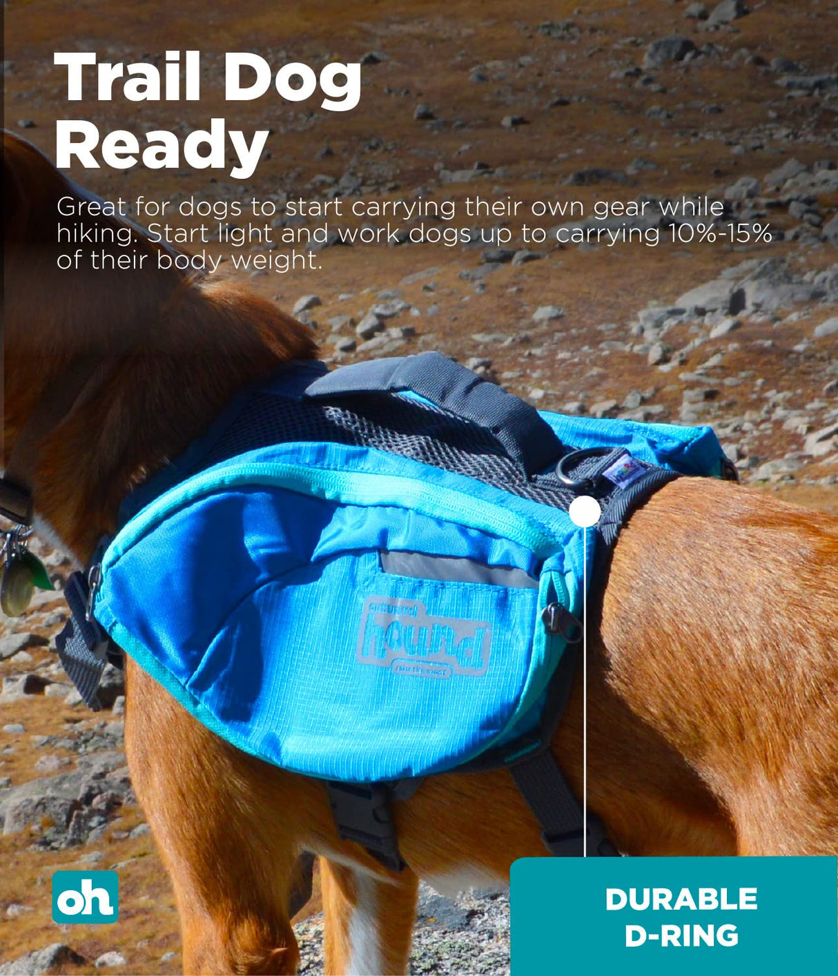 Outward Hound DayPak Blue Dog Saddleback Backpack, Large