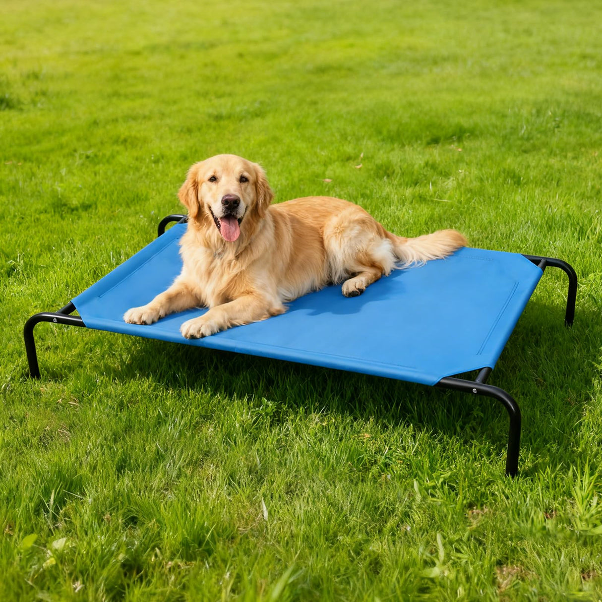 STARLATTA Elevated Dog Bed for Large Dogs, Washable Raised Cot with Skid-Resistant Feet, Waterproof Cooling Dog Beds with Oxford Cloth, Indoor/Outdoor Use, Blue 50in