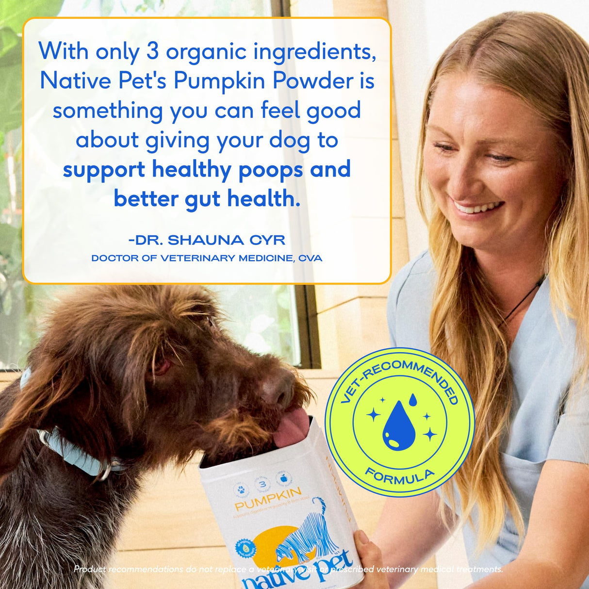 Native Pet Pumpkin for Dogs - Organic Powder Pumpkin Puree Dog Food Toppers-Rich in Fiber Supplement Powder Helps with Digestion, Nutrient Absorption, Diarrhea, Constipation & Upset Stomach-120 Scoops