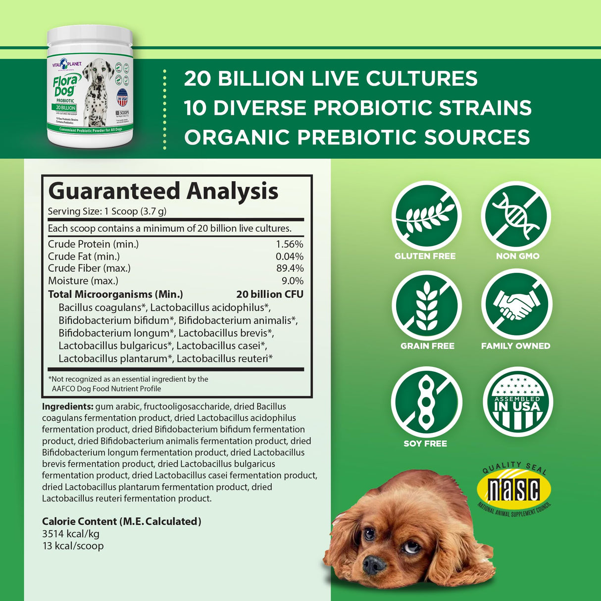 Vital Planet - Flora Dog Probiotic Powder Supplement with 20 Billion Cultures and 10 Strains, High Potency Immune and Digestive Support Probiotics for Dogs, 3.92 oz., 111 Grams, 30 Servings