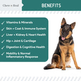 12-in-1 Multivitamin for Dogs - 60 Puppy and Senior Dog Vitamin and Supplement Soft Chews for Hip and Joint - Advanced Formula with Glucosamine, Omega 3,6,9, Vitamins, Probiotics, and More