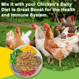 MTART 10LB Dried Black Soldier Fly Larvae Treat for Chicken, 100% Natural Non-GMO More Calcium Than Dried Mealworms High Protein Chicken Feed for Birds, Ducks, Layer Hens