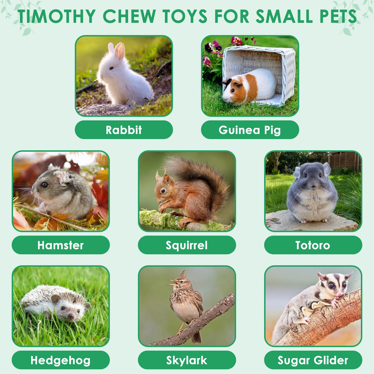 ERKOON 80PCS Bunny Chew Toys for Rabbits Teeth, Natural Rabbit Toys Apple Wood Sticks, Carrot, Timothy Grass Treats for Small Pets, Hamster, Chinchilla, Guinea Pig Dental Care and Treat Teething Toys