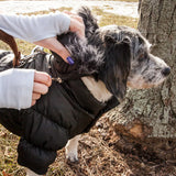 Pet Life ® Classic Metallic Fashion Winter Pet Dog Coat Jacket Parka with 3M Insulation and Removable Hood