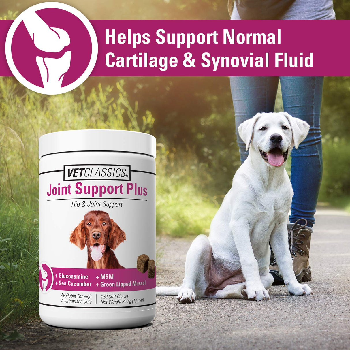 Vet Classics Joint Support Plus Dog Supplement - Hip Health Supplement for Dogs – Alleviates Aches and Discomfort - For Flexibility, Healthy Joint Function in Canines – Antioxidants – 120 Soft Chews