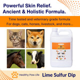Healthy Paw Life - Lime Sulfur Dip - Pet Care for Itchy and Dry Skin - Xtra Strength Formula - Safe Solution for Dog, Cat, Puppy, Kitten, Horse (1 Gallon)