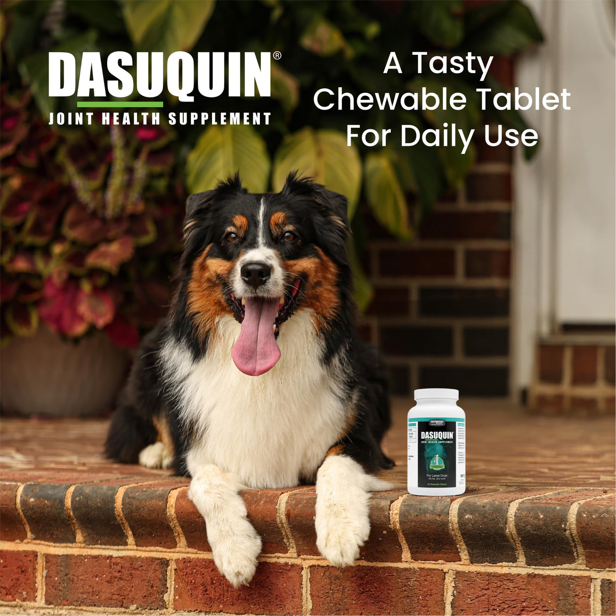 Nutramax Dasuquin for Large Dogs, Joint Health Supplement, Contains Glucosamine for Dogs, Plus Chondroitin, ASU and More, Supports Healthy Joints, Chewable Tablets, 84 Count