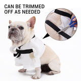 ETIAL Martial Arts Pet Costume for Halloween - Karate Uniform with Adjustable Self-Adhesive Strap for Dogs & Cats - Funny Animal Costume Easy On/Off M