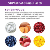 Fruitables Pumpkin Digestive Supplement - Made with Pumpkin for Dogs - Healthy Fiber Supplement for Pet Nutrition - 15 Ounces (6 Pack)