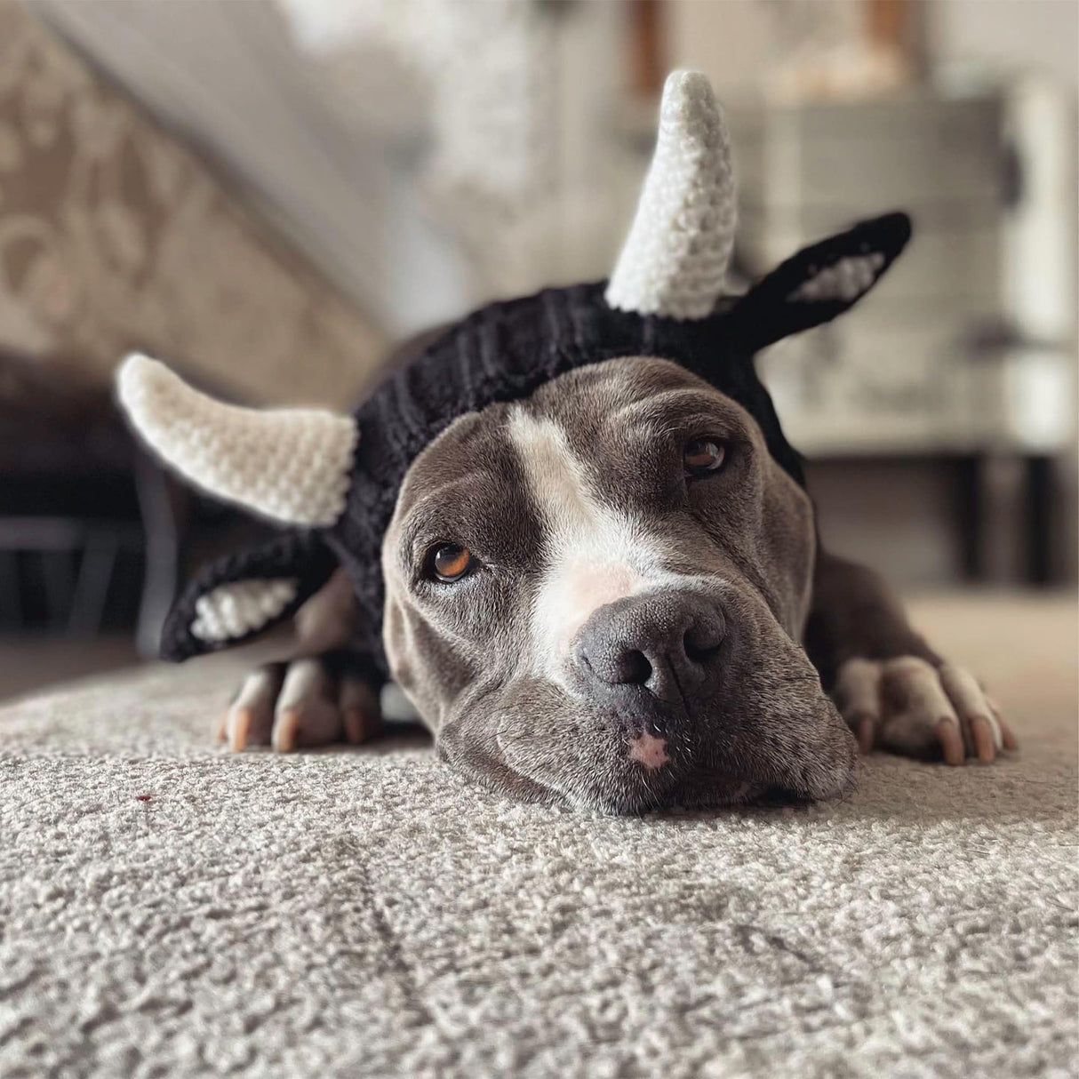 Zoo Snoods Bull Costume - Warm Knit Cow Dog Snood Wrap for Pets, Neck Ear Cover Protection for Halloween Winter (Small)