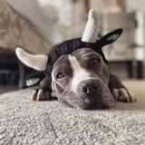 Zoo Snoods Bull Costume - Warm Knit Cow Dog Snood Wrap for Pets, Neck Ear Cover Protection for Halloween Winter (Small)