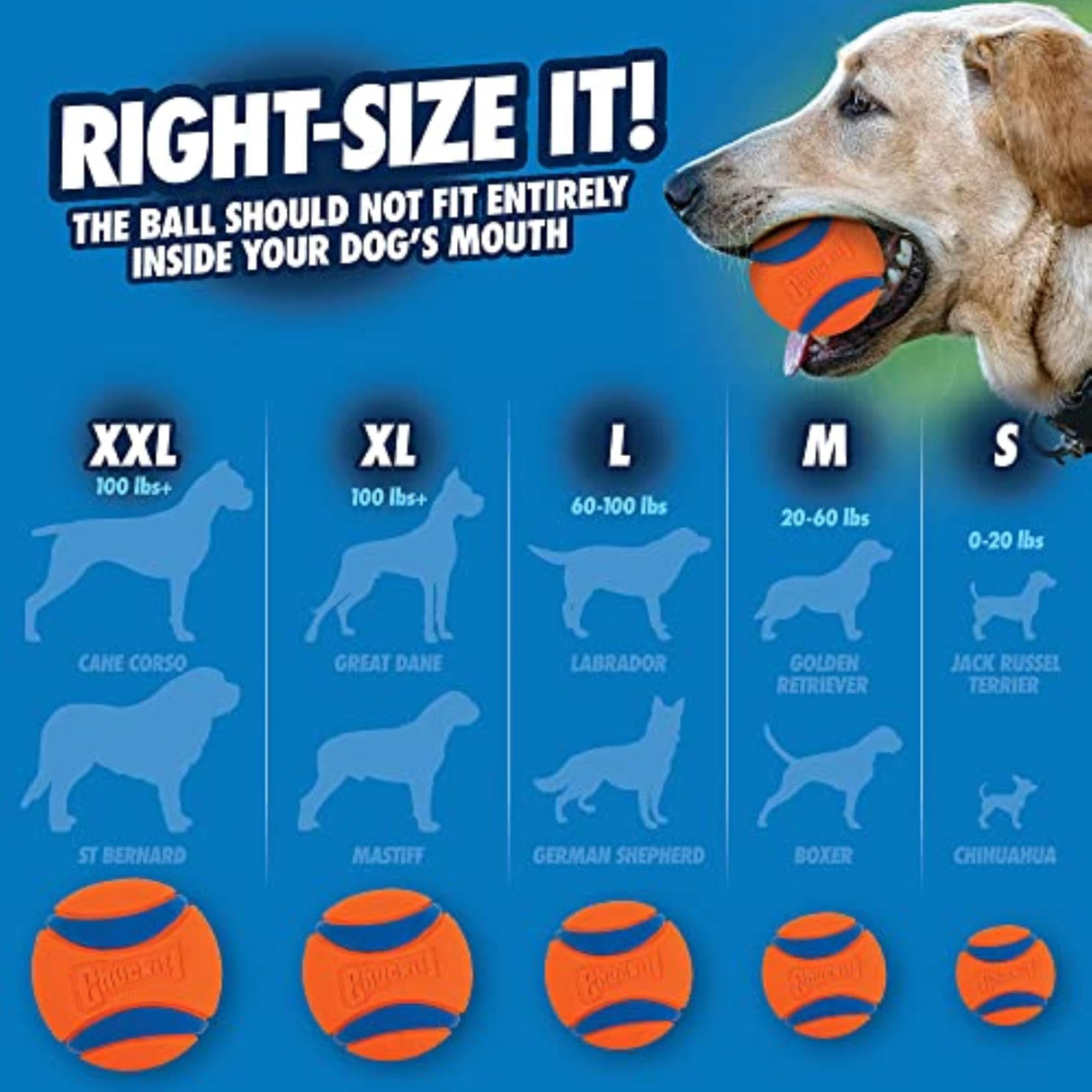 Chuckit! Ultra Ball Dog Toy with Chuckit! Cleaning Bucket, Bouncy Fetch Pet Toys For Dogs 20-60 lbs, Interactive Dog Toys, Durable Rubber, Size Medium, 2.5-inch Diameter, 8-Pack of Balls