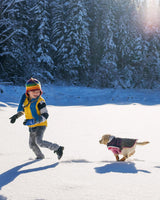 Winter Dog Boots & Paw Protectors: Outdoor Anti-Slip Dog Snow Shoes, Dog Booties Provide Warmth to Dogs Paws from Ice and Snow, Rubber Sole PU Leather Faux Fleece-Lined, Light Brown Dog Shoes Size 2