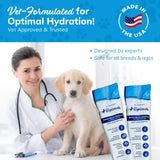Replenish Dog Recovery Water Supplement – Pedialyte for Dogs Hydration Drink & Water Additive - Electrolytes for Dogs Hydration Supplement – 10 Packets Count