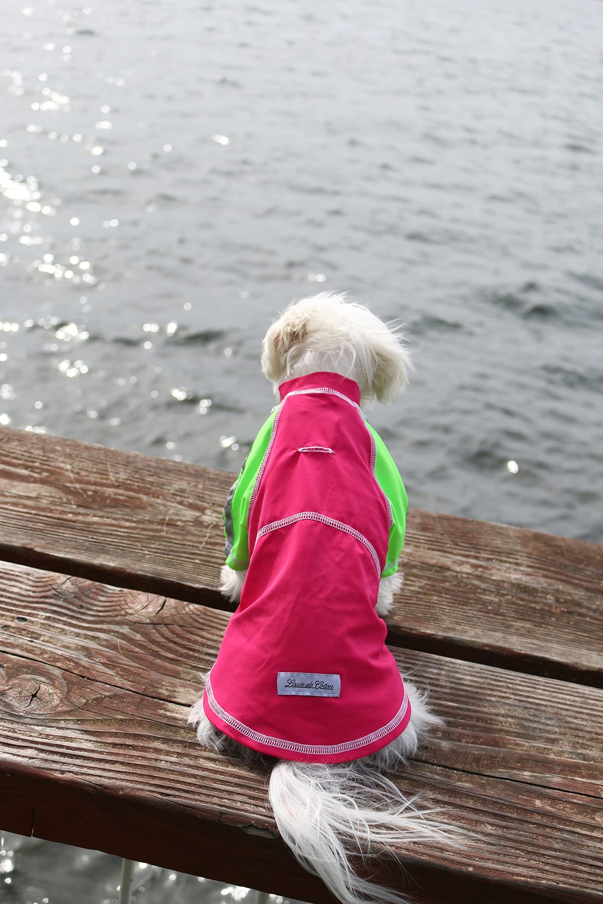 Louie de Coton Dog Clothes | Shirts for Large 3XL Size | Dog Sunscreen Cooling T-Shirt with UPF50+ Max Protection from Sunburn | Cooling Vest for Dogs Made in USA Sun Shirt for Dogs