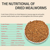 FCI GRUBS Dried Mealworms 5LB-High Protein Chicken Feed,More Protein,No Additives,Premium Organic Non-GMO,Rich in Protein Meal Worms for Chickens,Wild Birds,Laying Hens,Turkeys-Nutrient-Rich Mealworms