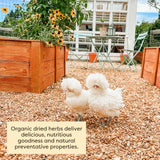 Scratch and Peck Dried Herbs Supplement for Chickens and Ducks - 10 oz Bag - Natural, Aromatic Nesting Box Herbs - Certified Organic and Non-GMO Project Verified