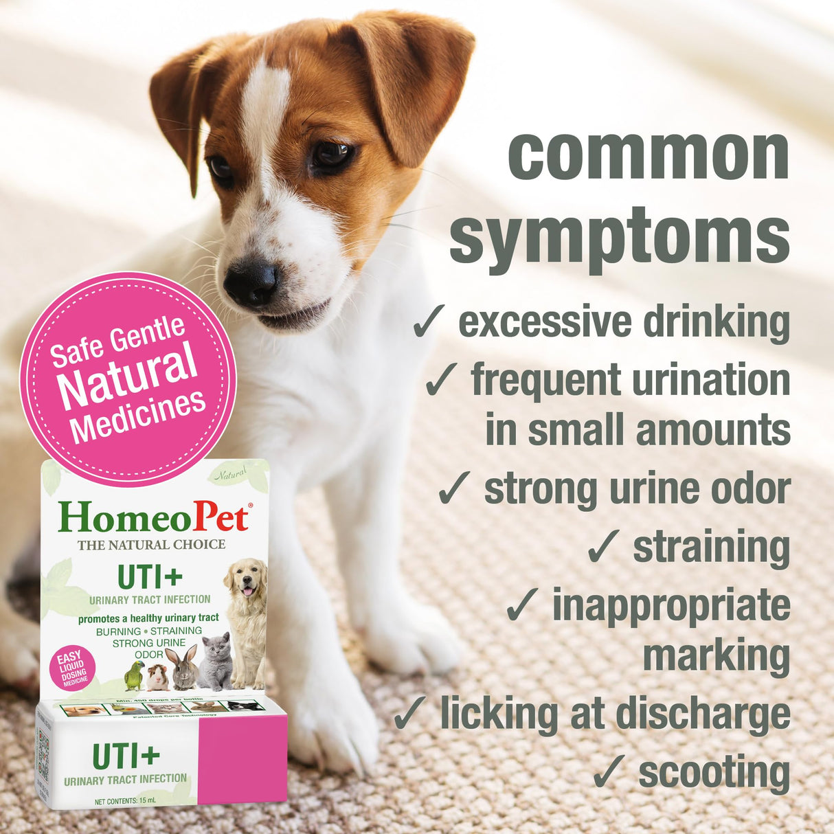 HomeoPet UTI+ Urinary Tract Relief, Safe and Natural Dog and Cat UTI Supplement, 15 Milliliters
