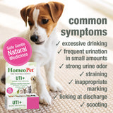 HomeoPet UTI+ Urinary Tract Relief, Safe and Natural Dog and Cat UTI Supplement, 15 Milliliters