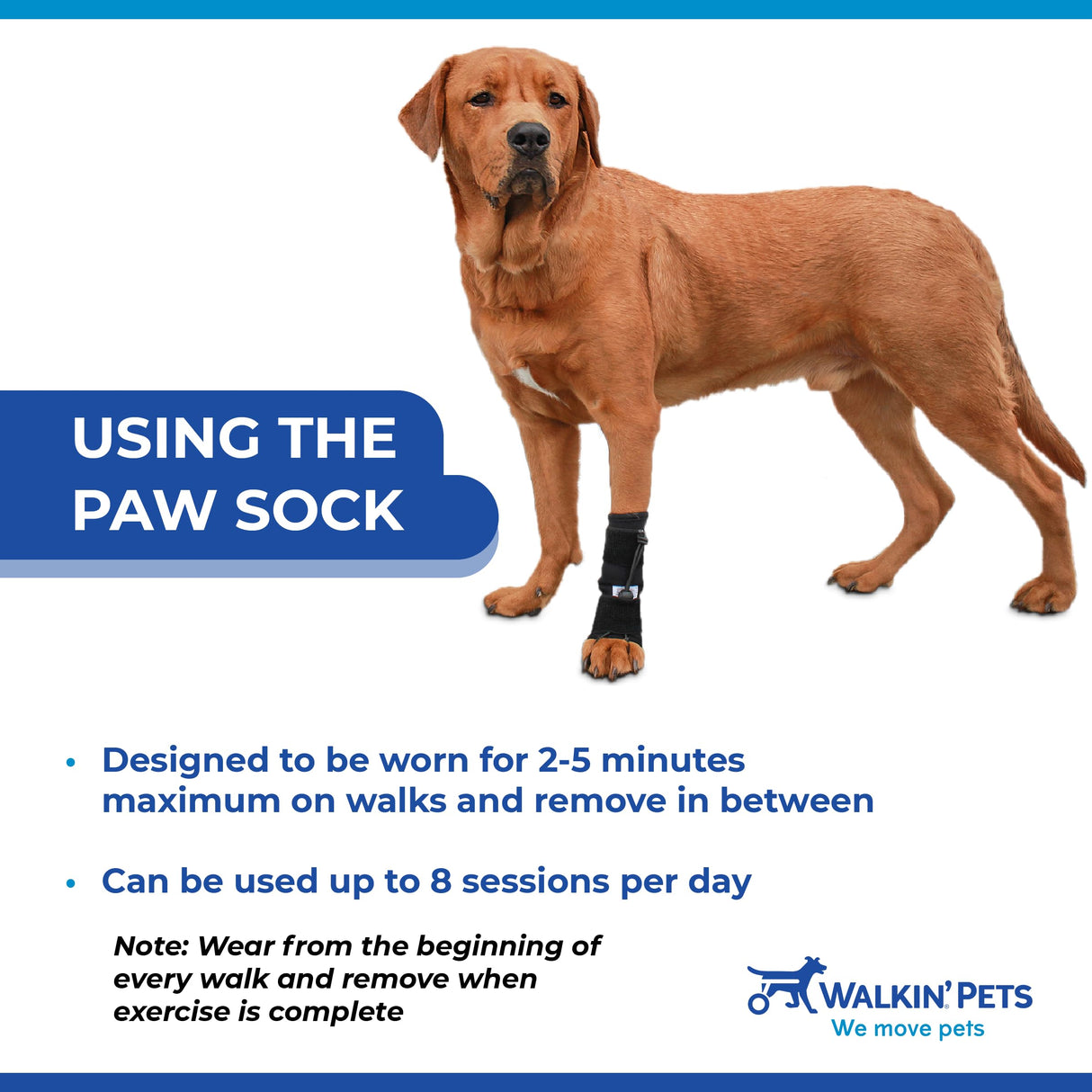 Walkin' Pets Front No-Knuckling Training Socks for Dogs - 3+ Inches, 100+ lbs