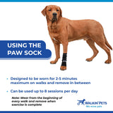 Walkin' Pets Front No-Knuckling Training Socks for Dogs - 3+ Inches, 100+ lbs