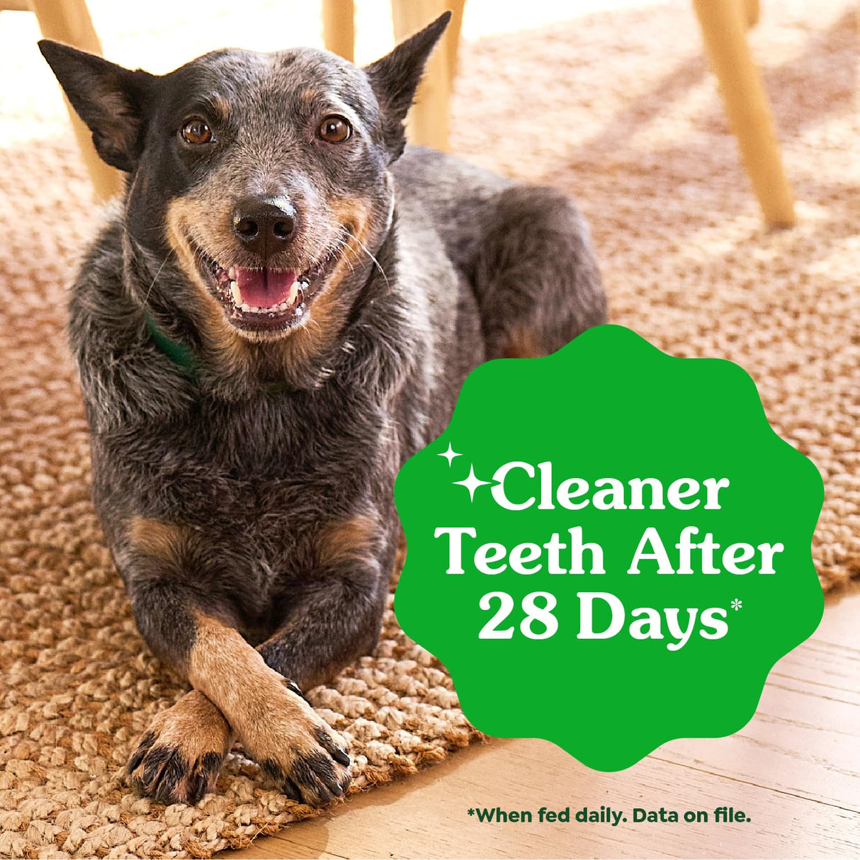 Greenies Veterinarian-Recommended Natural Dental Dog Treats, Large Size, Original Flavor, 36 oz. Pack, 24 Count