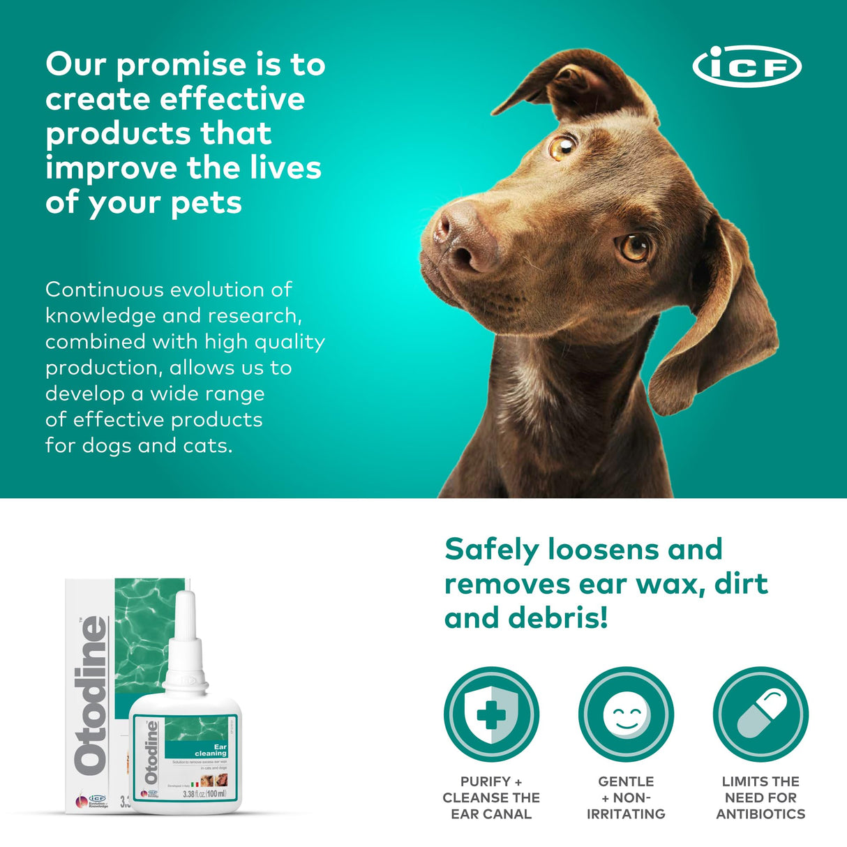 ICF Otodine Dog Ear Cleaner Solution - Veterinary Formula for Itchy Ears, Head Shaking & Scratching - Tris-EDTA Flush for Wax, Debris & Odor - Gentle & Safe for Cats & Puppies - 100ml