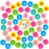 Mruq pet 80pcs Dog Flower Bows, Bulk Holiday Small Dog Hair Bows with Rubber Bands, Mix Cute Bunny Pattern Puppy Dog Bows for Festival Pet Dog Cat Hair Grooming Accessories