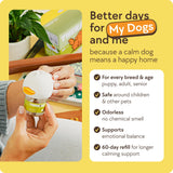 TherapetMD 2-Pack 120-Days Dog Calming Diffuser Kits - Dog Pheromone Diffuser for Stress, Destructive Behavior, Pee Accidents, Separation Anxiety, Aggression & Chewing - Each Include 120-Days Refills
