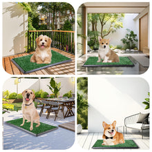 Load image into Gallery viewer, LOOBANI Dog Grass Pad with Tray - Dog Litter Box - Indoor Potty for Apartment and Patio Training - with 2 Packs Grass Pee Pads for Replacement, 16×20 Inch
