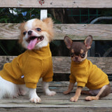 LOPHIPETS Small Dog Turtleneck Sweaters for Teacup Chihuahua Yorkie Puppy Cat Clothes-Yellow/S