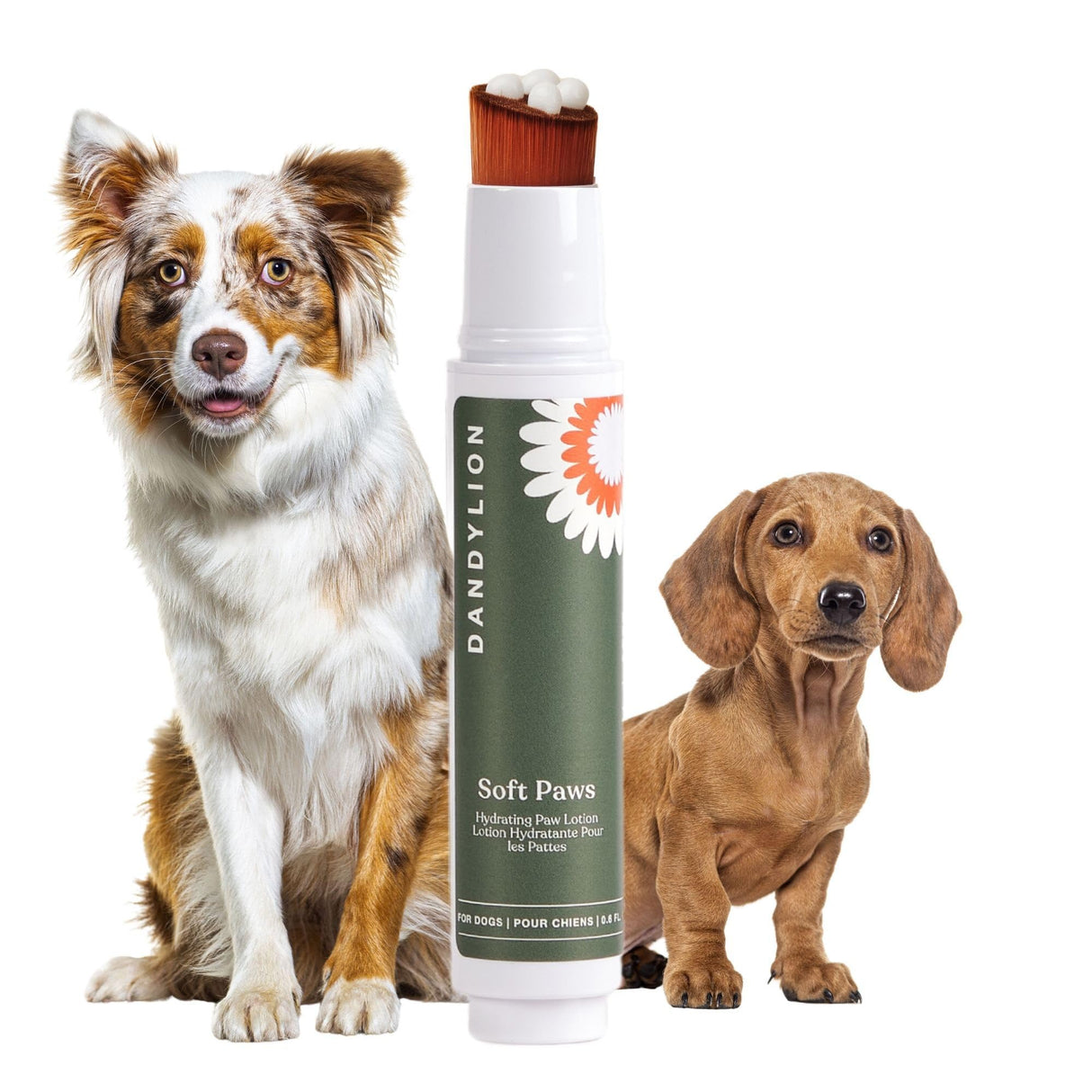 Dandylion Soft Paws Lotion with Brush | Dog Paw Balm & Paw Butter | Hydrating, Vet-Approved, Lick-Safe, Fragrance-Free | pH-Balanced for Itchy, Dry, Cracked Dog Paws | 0.6 fl oz