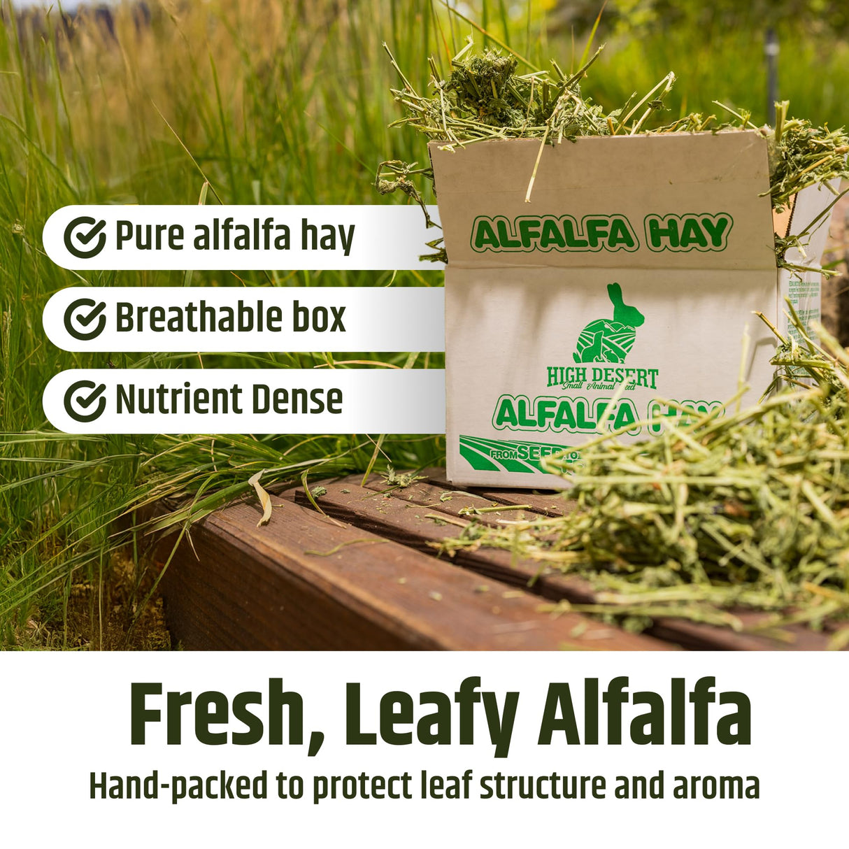 High Desert Alfalfa Hay, Protein Rich Soft Leaf Food for Young Growing Animals, Natural Rabbit Food and Guinea Pig Hay, Supports Digestive Health, Small Pet Supplies, Fresh Hand Packed 5 Lb Box