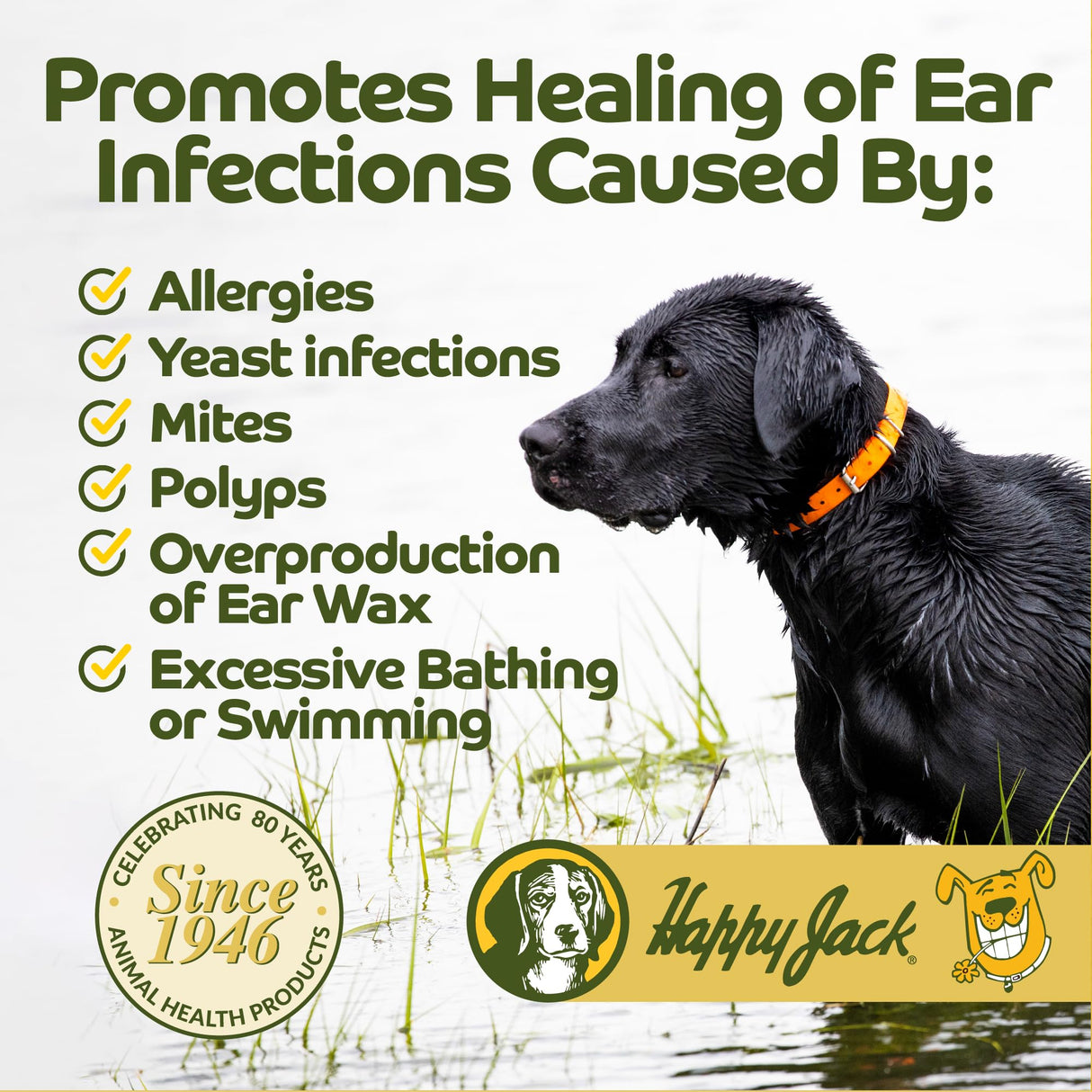HAPPY JACK Ear Canker Powder (0.5 oz) Dog Ear Powder for Infections, Made in USA, Helps Allergies, Polyps, Overproduction of Wax