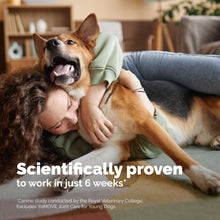 Load image into Gallery viewer, Yumove Hip &amp; Joint Supplement for Dogs - with Glucosamine Chondroiton, Green Lipped Mussel, Hyaluronic Acid, and Omega 3 Joint Supplement for Stiffness and Mobility - 60 Chews (Large/XL Dogs)
