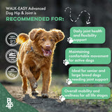 Large Breed Hip and Joint Supplement for Dogs - Premium Natural Joint Support and Mobility Relief Helps Ease Stiffness so Senior Dogs can Climb Stairs, Walk Pain Free and Play Again (180 Tiny Pills)
