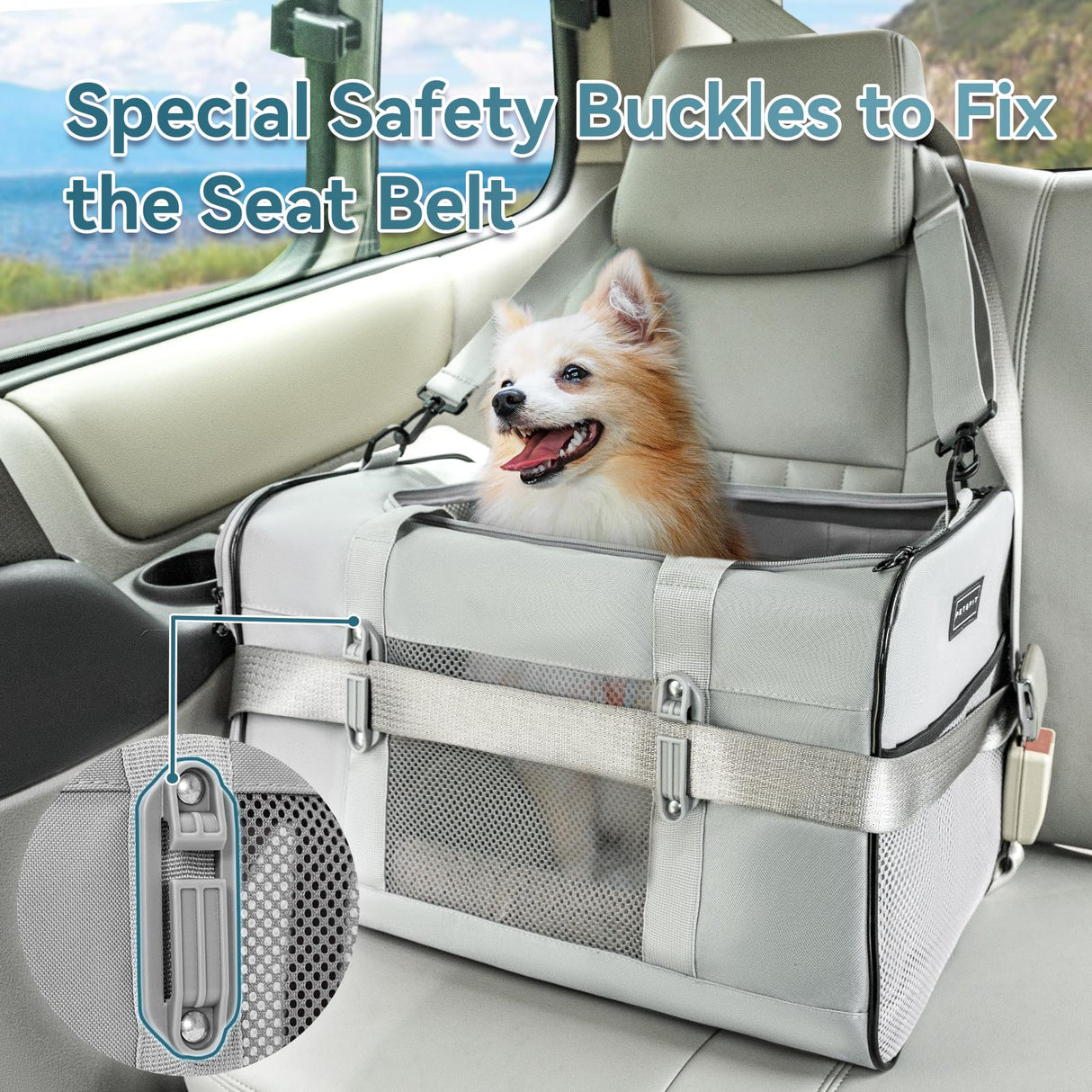Petsfit Travel Pet Carrier for Large Cats (up to 20 lbs), Soft-Sided Dog Car Travel Carrier with Patented Buckle and Soft Padding, Ideal for Car Road Trips,19X12X12 Inch,Grey