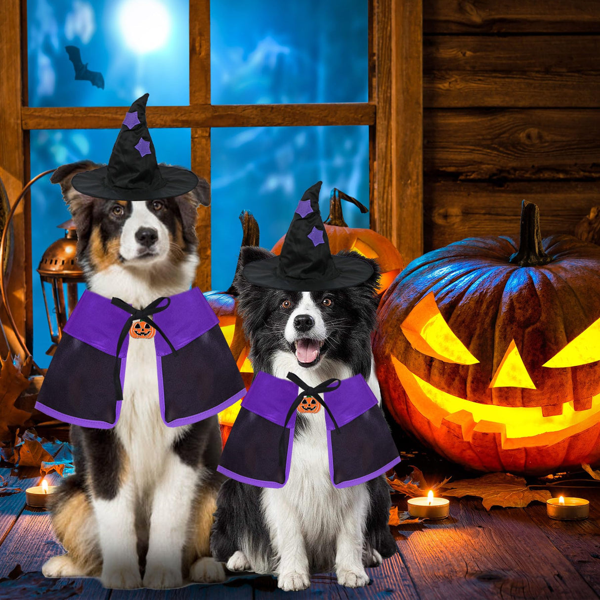 GOYOSWA Dog Halloween Costumes, Dog Witch Costume Halloween Dog Witch Cloak Cape Wizard Hat Halloween Costumes for Small Medium Large Dogs Pets (Large)