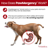 PawMergency – Activated Charcoal First Aid Kit Emergency Rescue for Dogs, Cats, Puppy & Pet Poison Kit, Camping Survival Remedy Essential,Oral Anti Diarrhea Digestive Paste Ready Absorb Toxins (30mL)