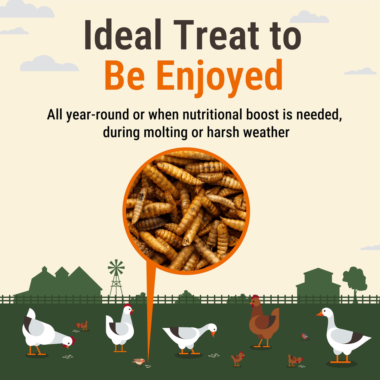 Supreme Grubs Natural Black Soldier Fly Larvae for Chickens, 85X More Calcium Than Mealworms-High Protein Grub Food Chicken Treats for Hens, Probiotic-Rich Chicken Feed, Calcium-Dense Bird Treat 5lb