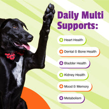 Load image into Gallery viewer, Pet Naturals Daily Multivitamin for Dogs, Veggie Flavor, 150 Chews - Yummy Chews with Amino Acids, and Antioxidants - Supports Energy, Metabolic Function and Pet Wellness
