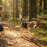 Paw Protective Shoes, All-Season Protection, Comfort, and Stability for Your Dog’s Paws 4pcs Dog Boots, Keep Your Dog Active (Orangw (4Pc), 5(2.0" Lx1.6 W))